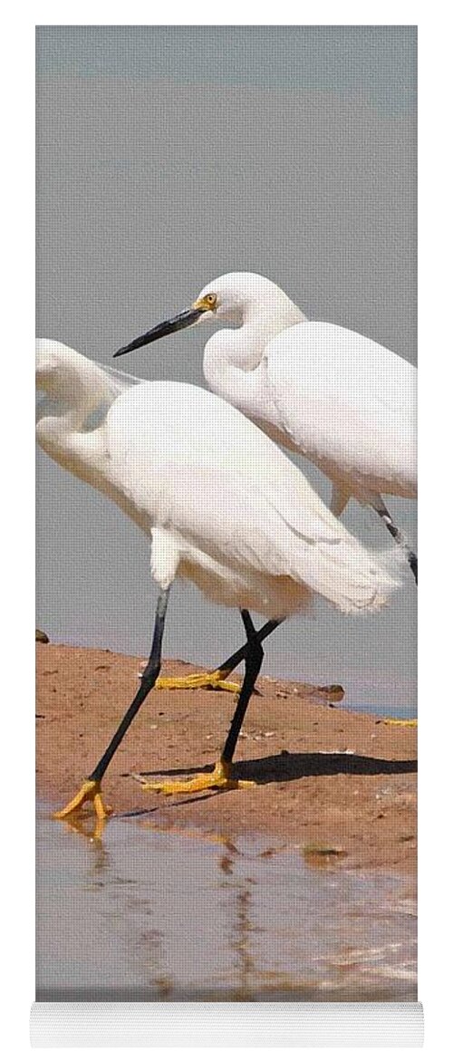 Snowy Egrets With Matching Beaks Yoga Mat featuring the photograph Snowy Egrets With Matching Beaks by Tom Janca