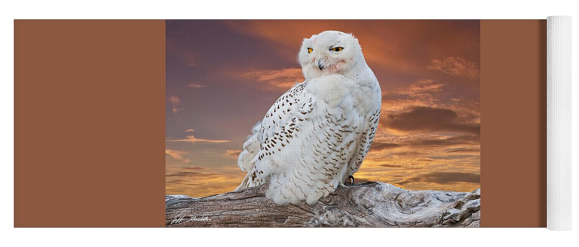 Animal Yoga Mat featuring the photograph Snowy Owl Perched at Sunset by Jeff Goulden