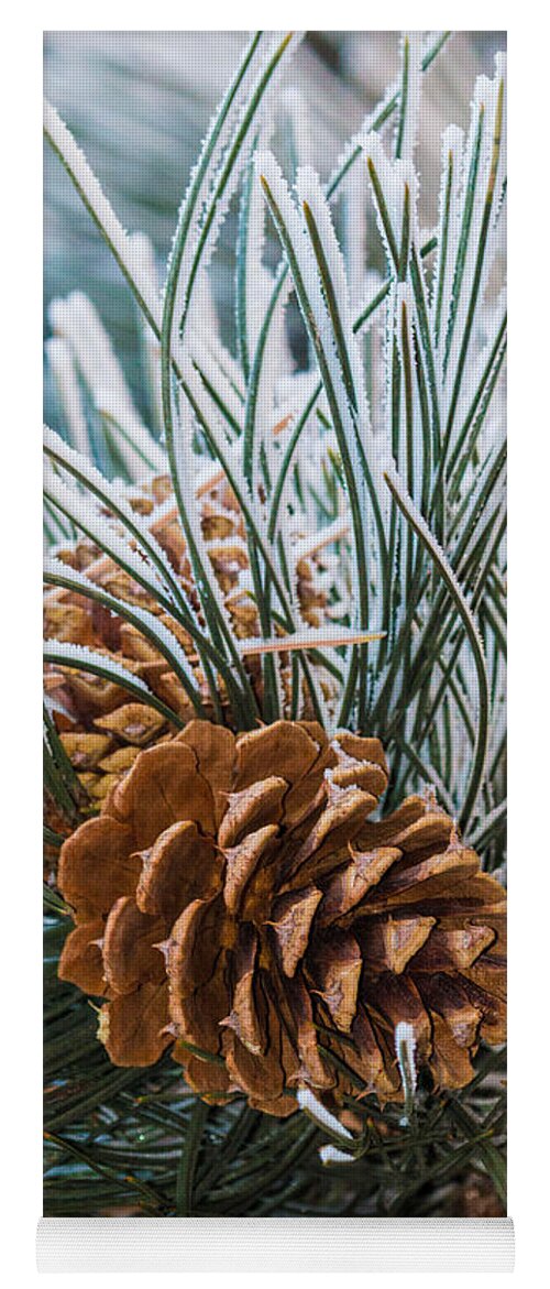 Christmas Yoga Mat featuring the photograph Snowy Pine Cones by Dawn Key
