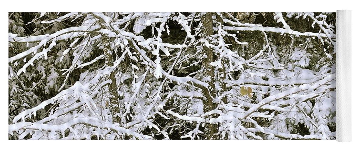 Snow Scene Yoga Mat featuring the photograph Snowy Tracery by Michele Myers