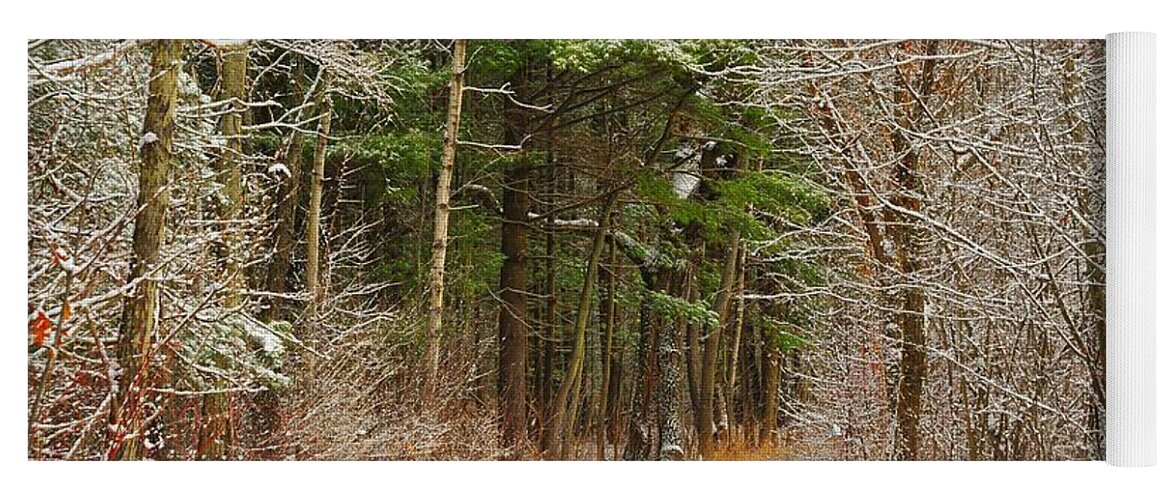 Snow Yoga Mat featuring the photograph Snowy Tunnel of Trees by Terri Gostola