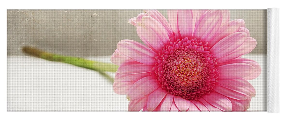 Daisy Yoga Mat featuring the photograph Softness in Pink by Randi Grace Nilsberg