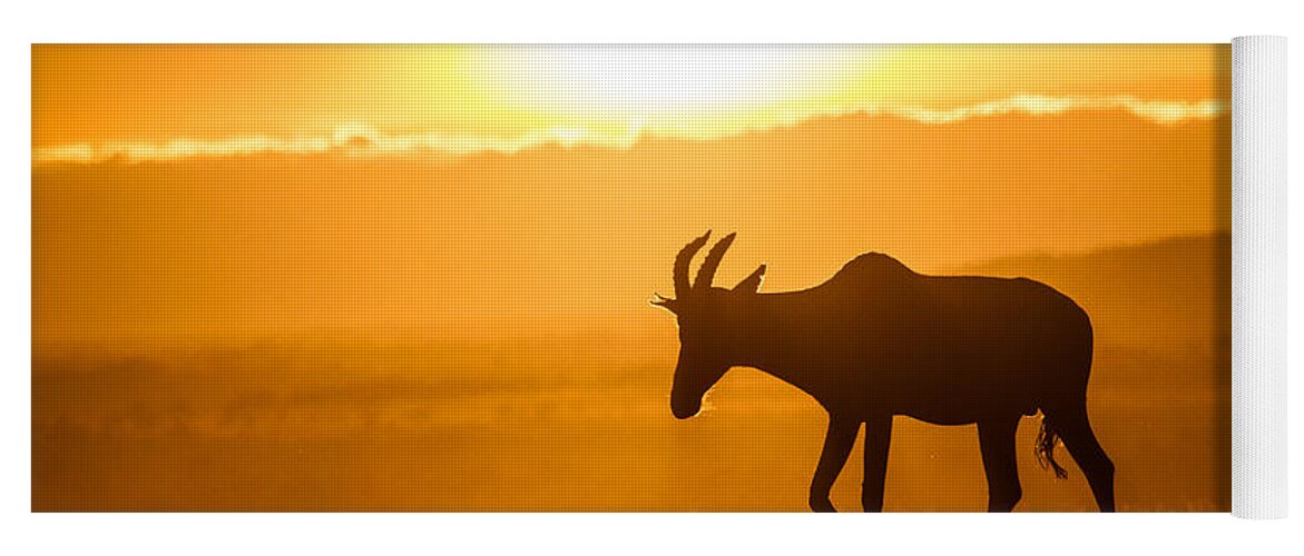 Africa Yoga Mat featuring the photograph Solo Topi Sunrise by Mike Gaudaur