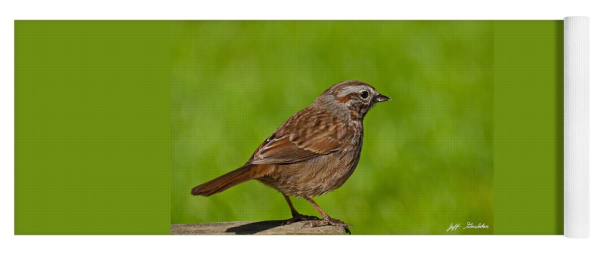 Animal Yoga Mat featuring the photograph Song Sparrow on a Log by Jeff Goulden