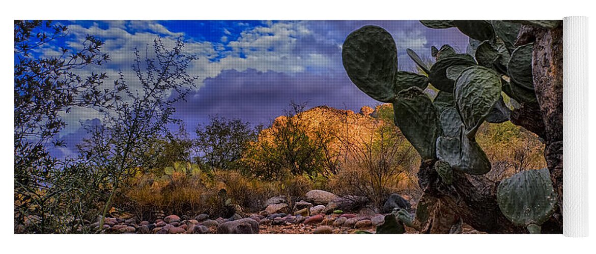 2013 Yoga Mat featuring the photograph Sonoran Desert 54 by Mark Myhaver