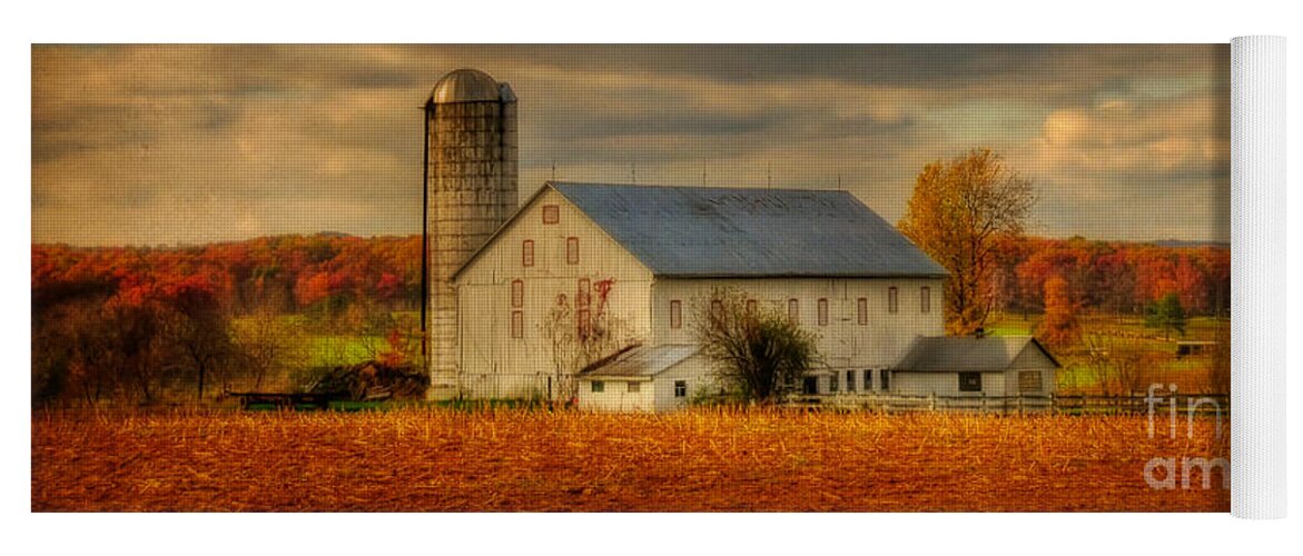 White Barn Yoga Mat featuring the photograph South For The Winter by Lois Bryan