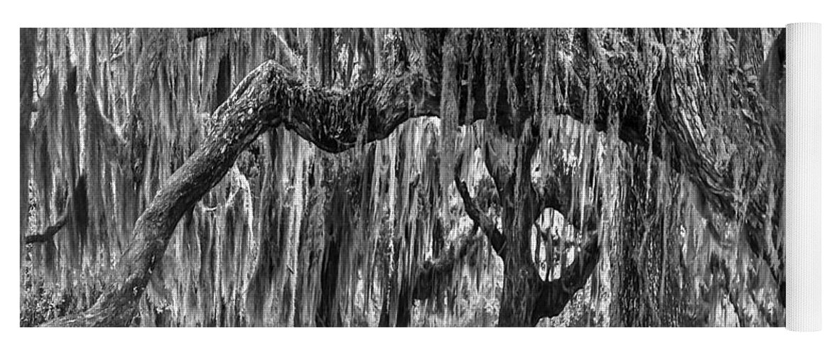 Clouds Yoga Mat featuring the photograph Spanish Moss in Black and White by Debra and Dave Vanderlaan