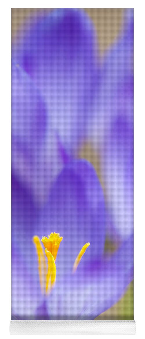 Crocus Yoga Mat featuring the photograph Spark Of Spring by Jean-Pierre Ducondi