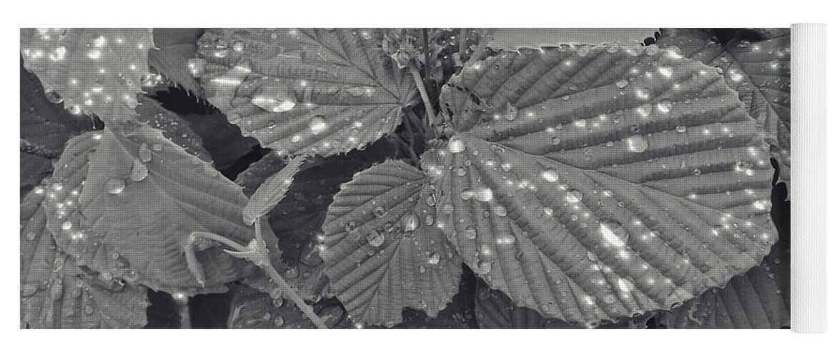 Leaves Yoga Mat featuring the photograph Sparkling Leaves by Cathy Anderson