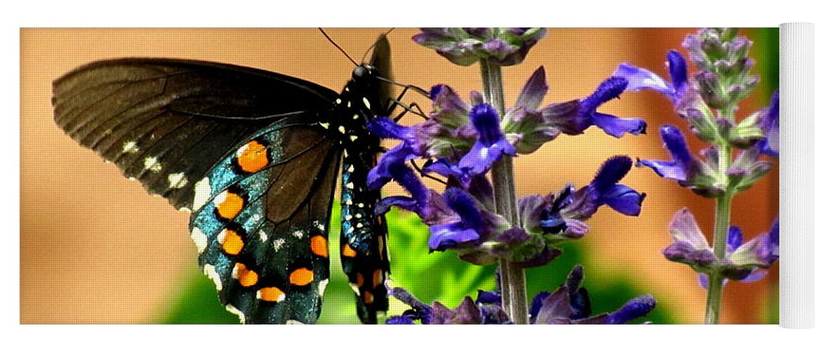 Spicebush Swallowtail Butterfly Yoga Mat featuring the photograph Spicebush Swallowtail by Marilyn Smith
