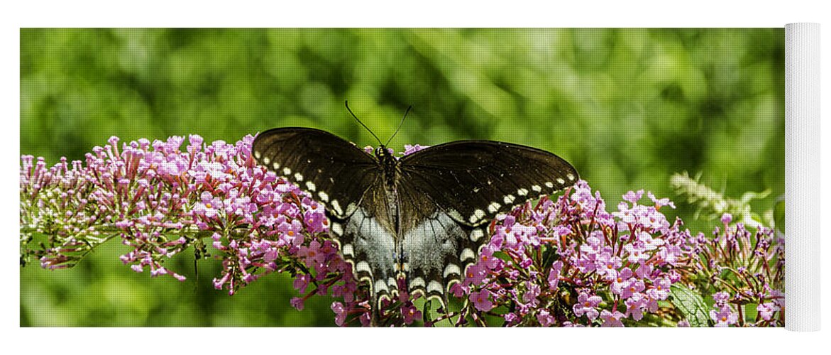 Antenna Yoga Mat featuring the photograph Spicebush Swallowtail by Mary Carol Story
