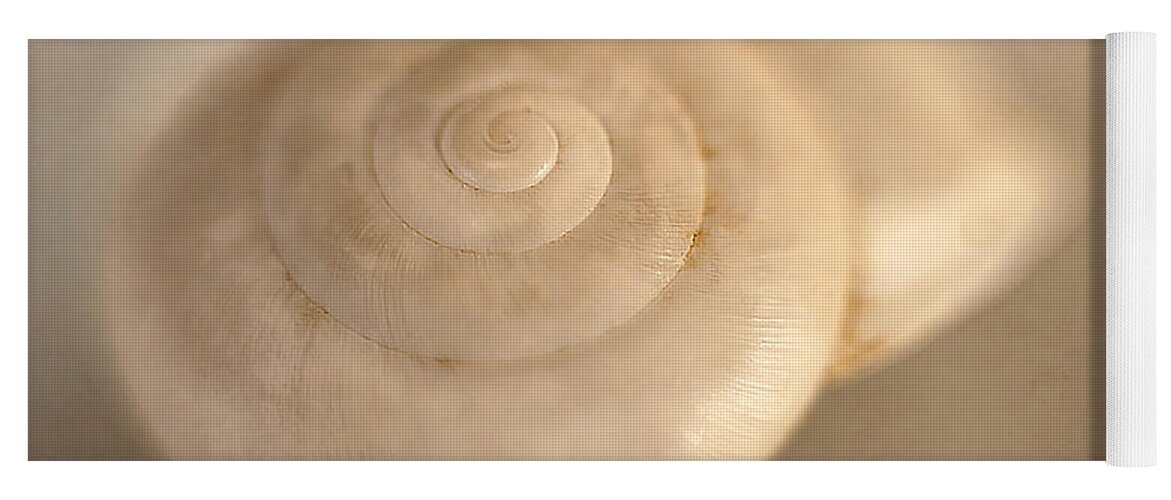Shell Yoga Mat featuring the photograph Spiral Shell 2 by Scott Norris