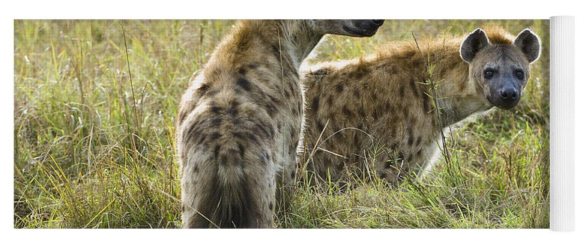 African Fauna Yoga Mat featuring the photograph Spotted Hyaena by John Shaw
