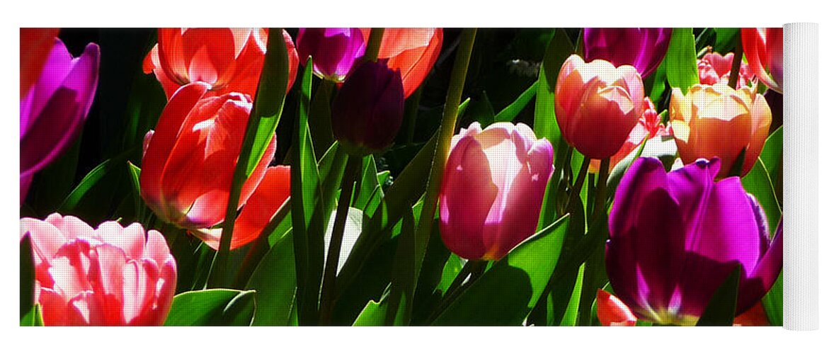 Tulips Yoga Mat featuring the photograph Spring Blossom 5 by Xueling Zou