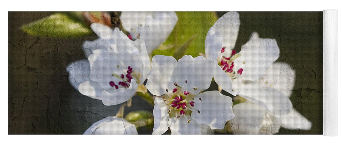 Pyrus Calleryana Yoga Mat featuring the photograph Spring Blossoms by Kathy Clark