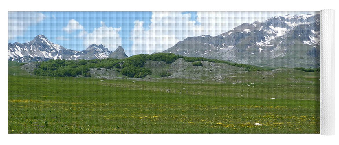 Wild Flowers Yoga Mat featuring the photograph Spring Flowers - Durmitor National Park - Montenegro by Phil Banks