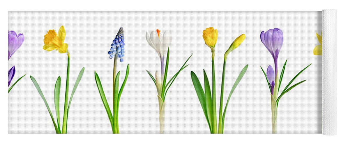 Flowers Yoga Mat featuring the photograph Spring flowers 1 by Elena Elisseeva