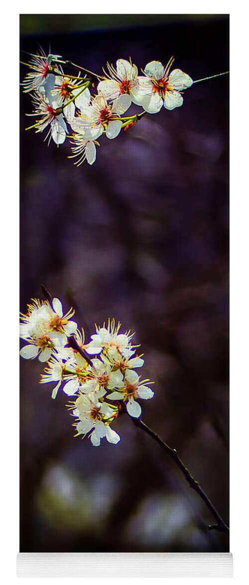 Spring Buds Yoga Mat featuring the photograph Spring Returns 3 by Al Griffin