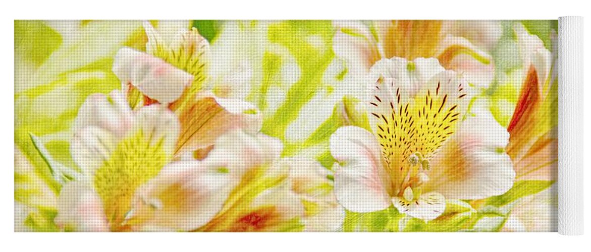 Flower Yoga Mat featuring the photograph Spring Sunshine by Peggy Hughes
