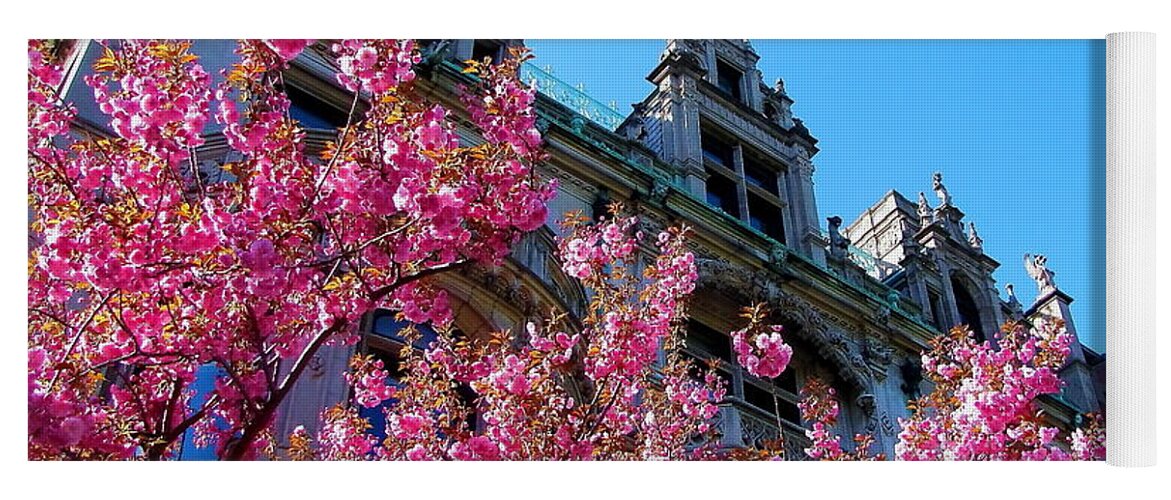 Flower Yoga Mat featuring the photograph Springtime on Commonwealth Avenue by Jeff Heimlich