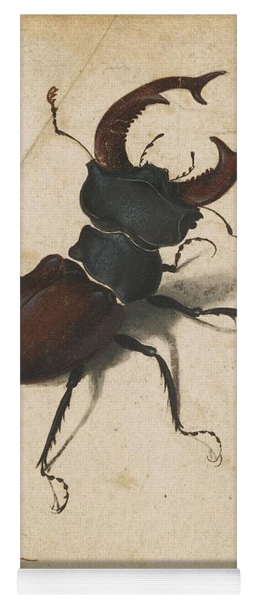 Albrecht Durer Yoga Mat featuring the painting Stag Beetle by Albrecht Durer