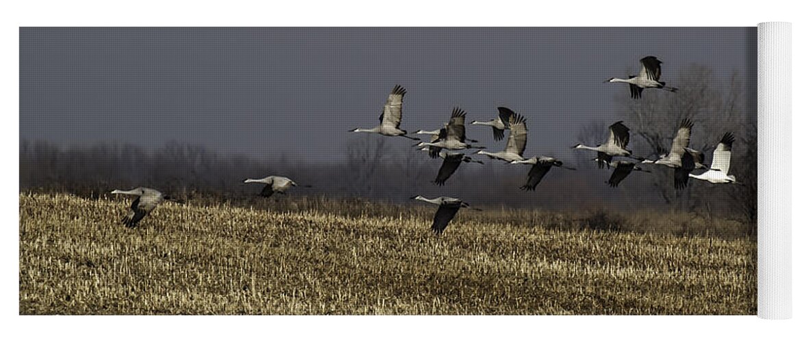 Whooping Crane Yoga Mat featuring the photograph Standing Out 1 by Thomas Young