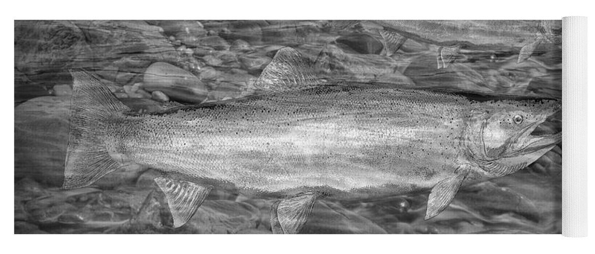 Art Yoga Mat featuring the photograph Steelhead Trout Migration by Randall Nyhof
