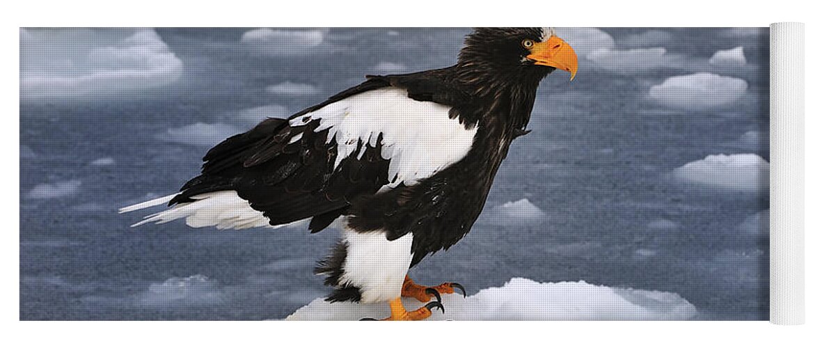 Thomas Marent Yoga Mat featuring the photograph Stellers Sea Eagle On Ice Hokkaido Japan by Thomas Marent