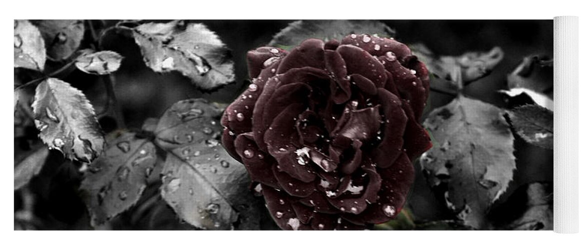 Red Rose Yoga Mat featuring the photograph ...Still A Rose by David Yocum