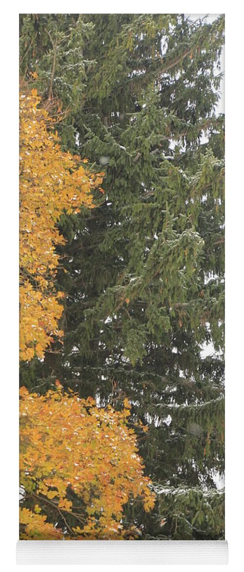 Christmas Tree Yoga Mat featuring the photograph Sugar Maple and Evergreen by Valerie Collins