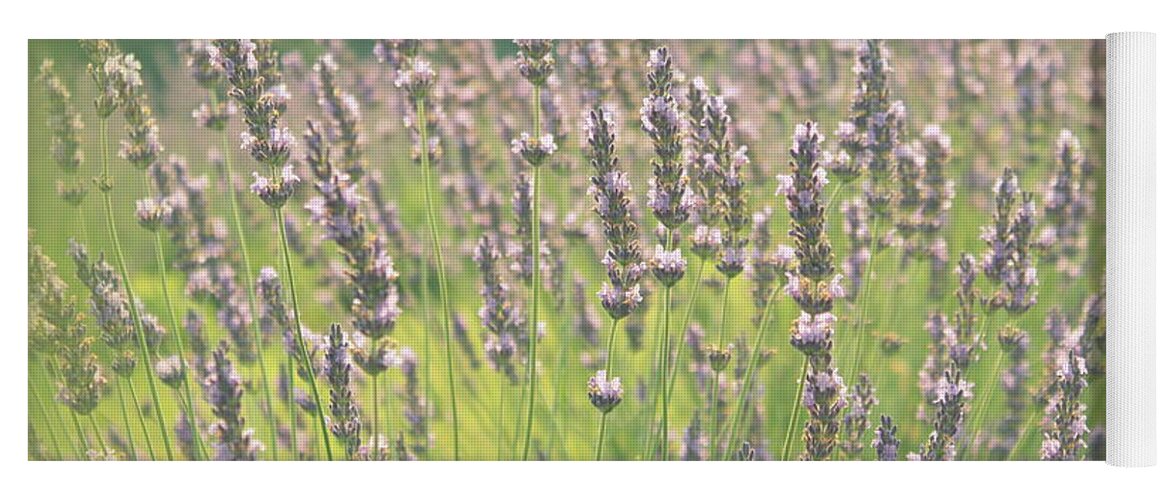 Lavender Yoga Mat featuring the photograph Summer Dreams by Lynn Sprowl