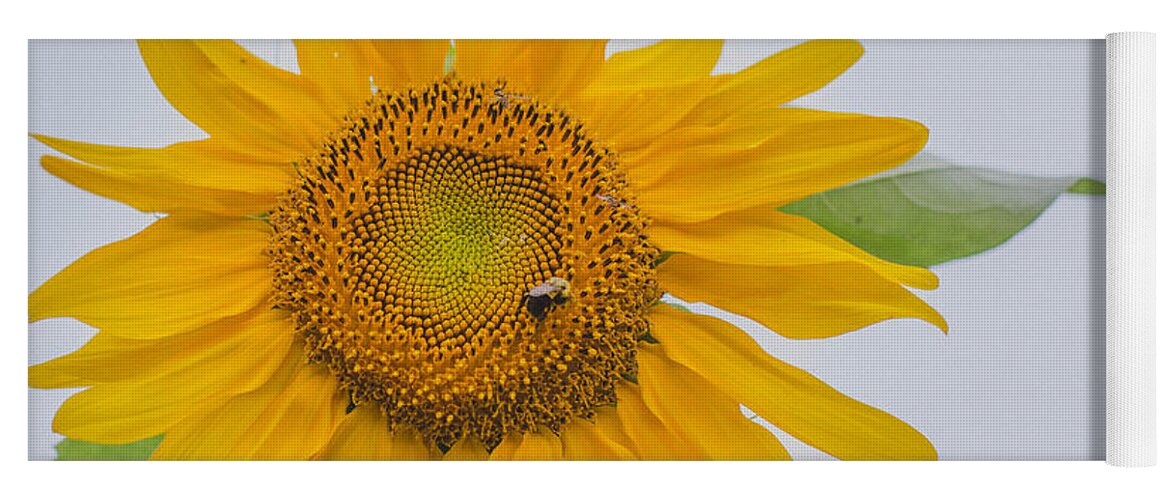 Sunflower Yoga Mat featuring the photograph Sunflower and Bee by Amber Flowers