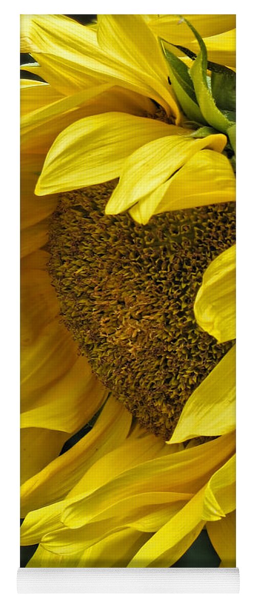 Flower Yoga Mat featuring the photograph Sunflower by Ann Bridges