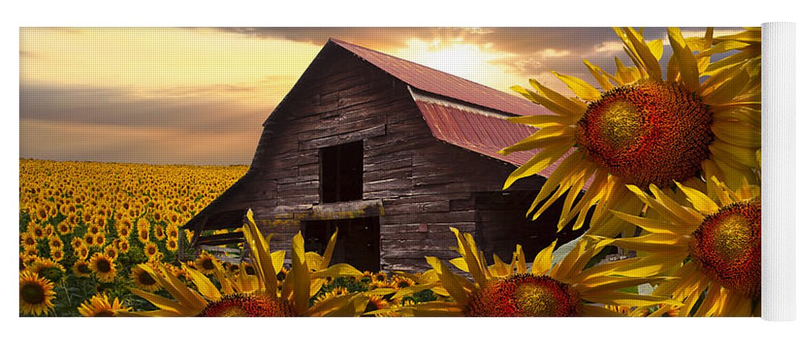 Barn Yoga Mat featuring the photograph Sunflower Dance by Debra and Dave Vanderlaan