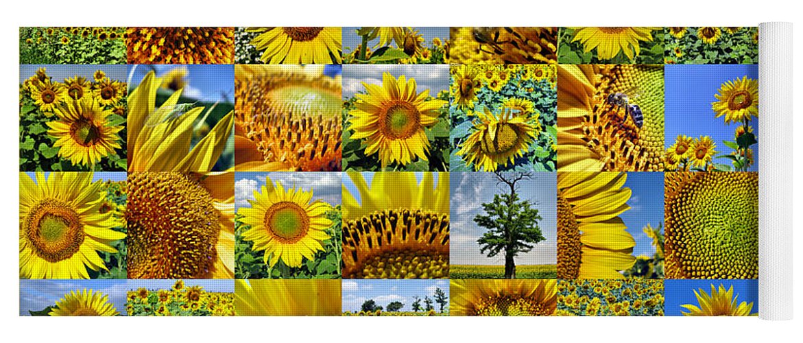 Sunflower Yoga Mat featuring the photograph Sunflower field collage in yellow by Daliana Pacuraru