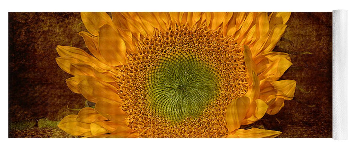 Suflower Yoga Mat featuring the photograph Sunflower Light by Phyllis Denton