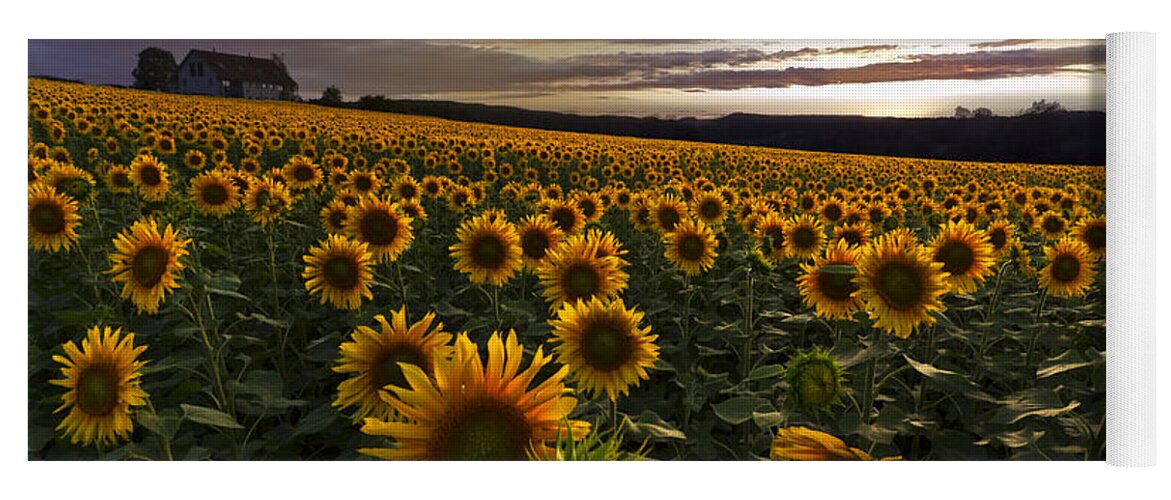 Austria Yoga Mat featuring the photograph Sunflower Sunset by Debra and Dave Vanderlaan