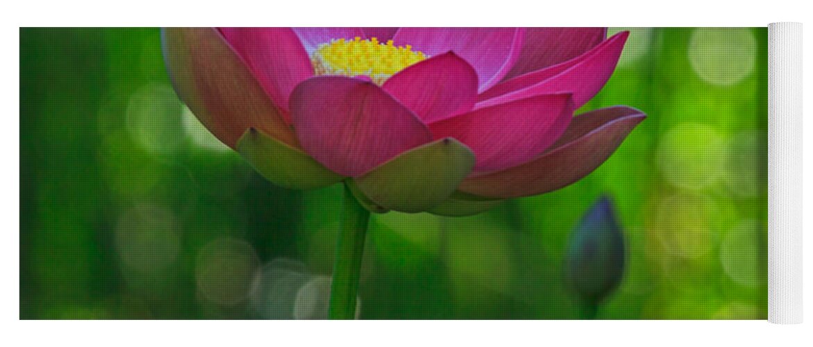 California Yoga Mat featuring the photograph Sunlight on Lotus Flower by Beth Sargent