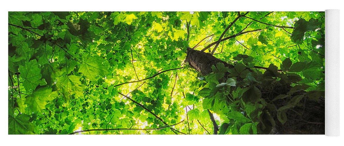 Michigan Yoga Mat featuring the photograph Sunlit Leaves by Lars Lentz