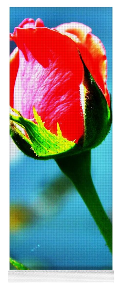 Single Rose Yoga Mat featuring the photograph Sunlite Rose Bud by Judy Palkimas