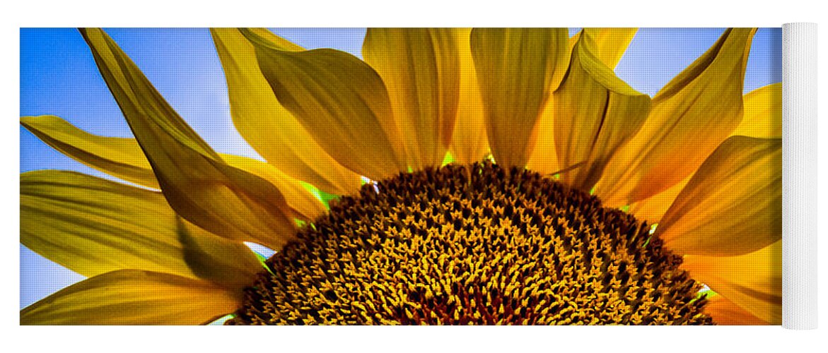Sunflowers Yoga Mat featuring the photograph Sunny Blue by Michael Arend
