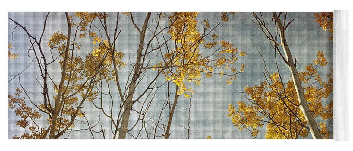 Leaves Yoga Mat featuring the photograph Sunny leaves wide by Priska Wettstein