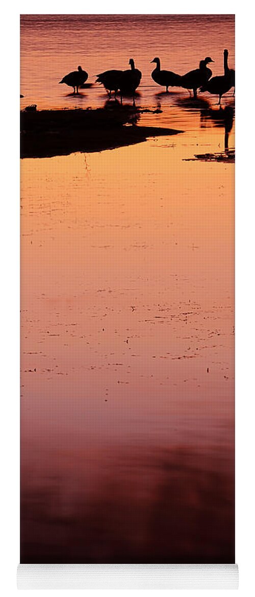 Marsala Art Yoga Mat featuring the photograph Sunset Discourse- Gorton Pond Warwick Rhode Island by Lourry Legarde