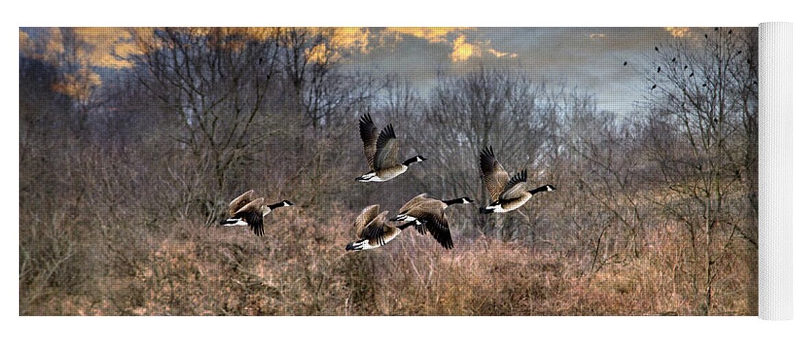 Sunset Yoga Mat featuring the photograph Sunset Geese by Christina Rollo