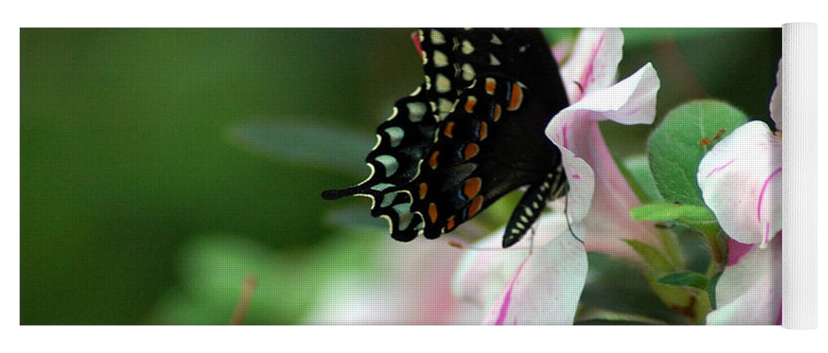 Swallowtail Yoga Mat featuring the photograph Swallowtail 2 by David Weeks