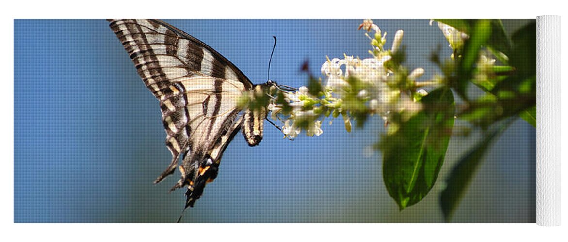 Butterfly Yoga Mat featuring the photograph Swallowtail by Mark Alan Perry