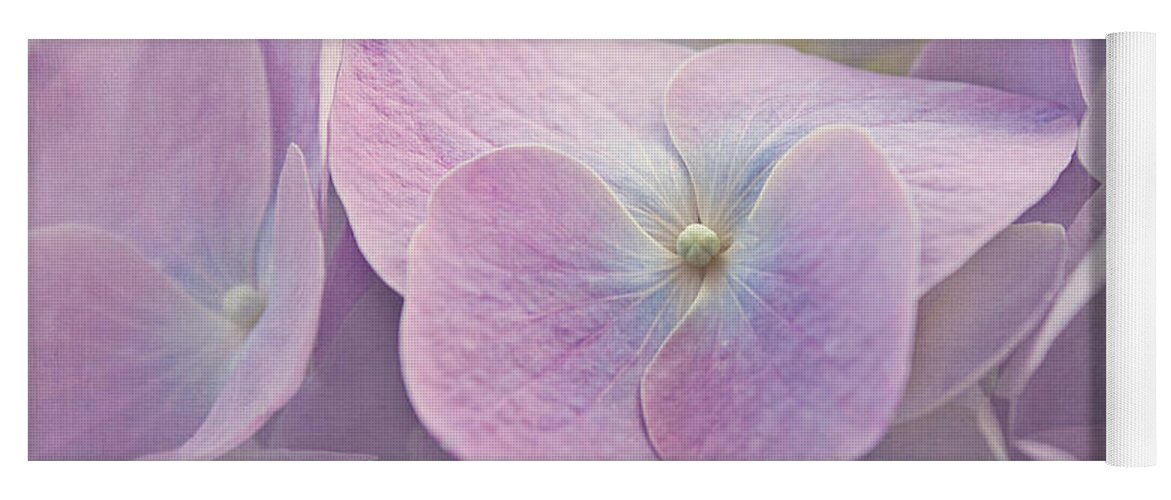 Hydrangea Yoga Mat featuring the photograph Symphony in Purple by Kim Hojnacki