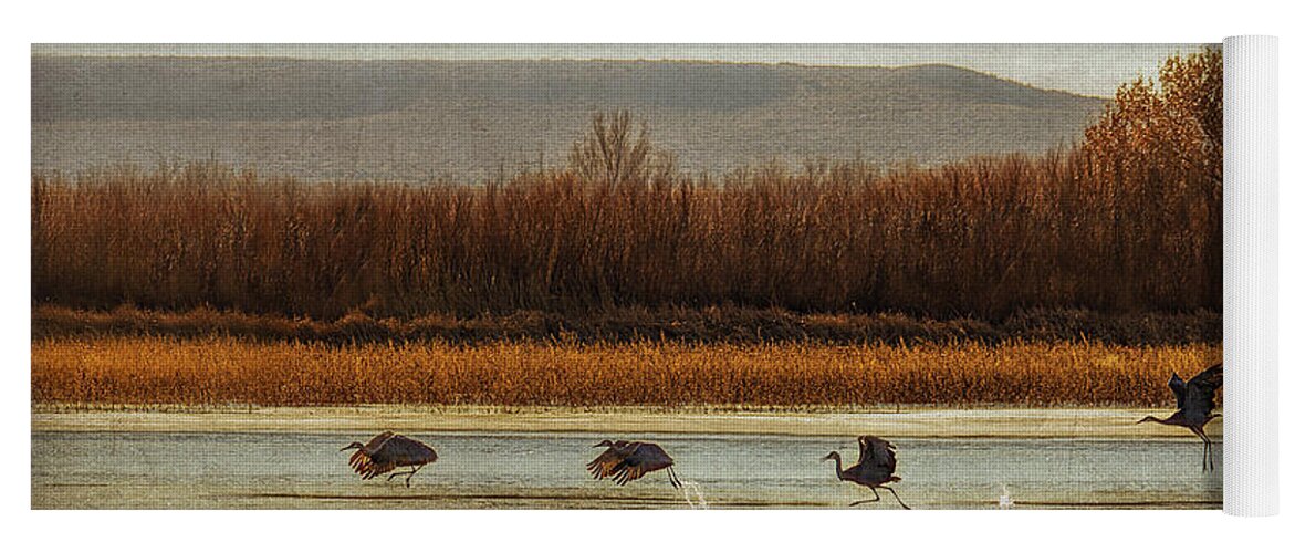 Akeoff Of The Cranes Yoga Mat featuring the photograph Takeoff of the Cranes by Priscilla Burgers