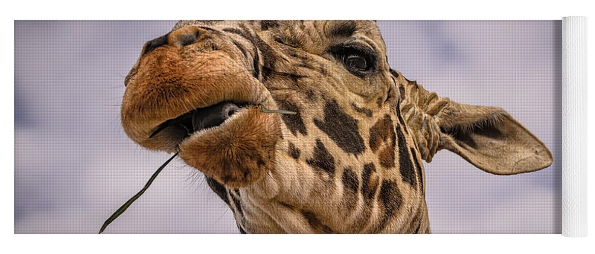 Africa Yoga Mat featuring the photograph Thank You by Mark Myhaver