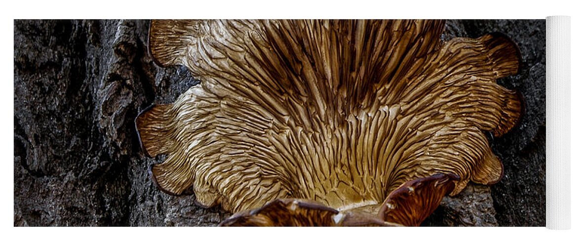 Fungus Yoga Mat featuring the photograph The Art of Nature by Ronald Grogan